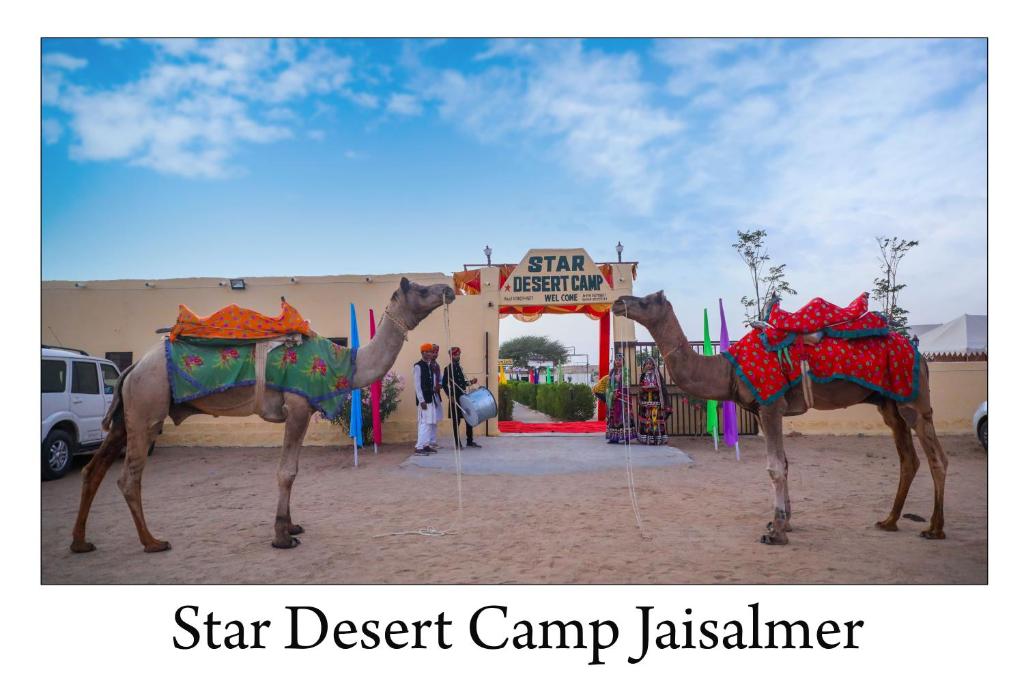 Fotografie z fotogalerie ubytování Star Desert Camp Jaisalmer v destinaci Džaisalmér