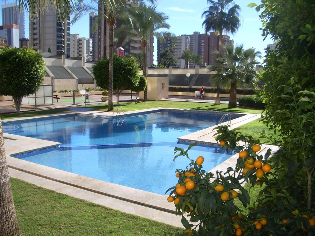 Apartamento Carmenchu Gemelos 20, Benidorm – Bijgewerkte ...