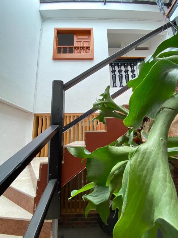 Fotografie z fotogalerie ubytování Hotel Paso Realce v destinaci Guaduas