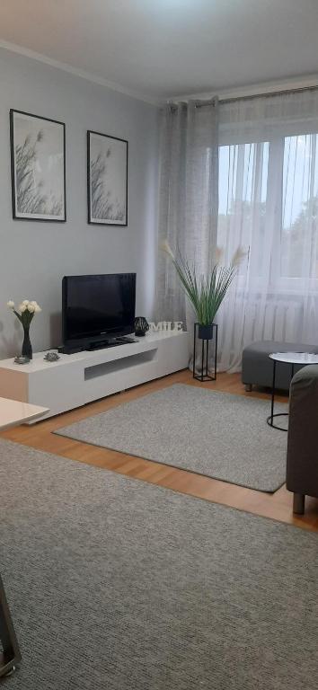 een woonkamer met een flatscreen-tv en een bank bij Flowers Apartament in Piła