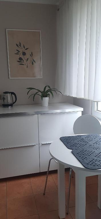 Fotografie z fotogalerie ubytování Flowers Apartament v destinaci Piła