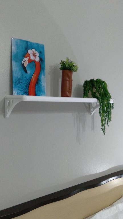 a white shelf with two plants and a painting at Studio Imbé in Imbituba
