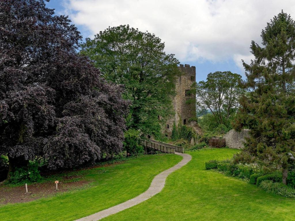 a path leading to an old castle in a field at Sir Henry Sidney-ukc4033 in Ludlow