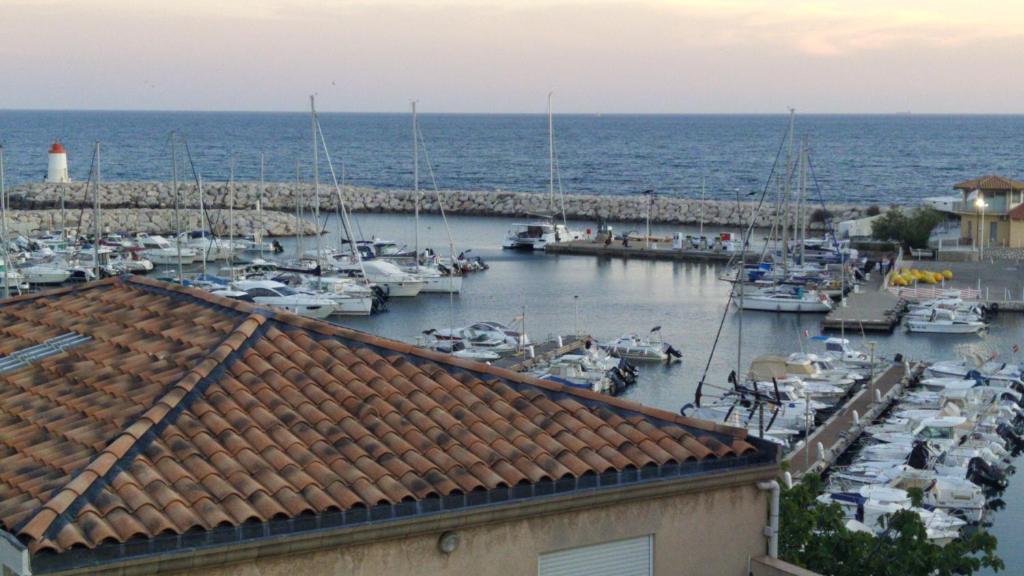 widok na marinę z łodziami na wodzie w obiekcie Magnifique vue mer et port w mieście Sausset-les-Pins