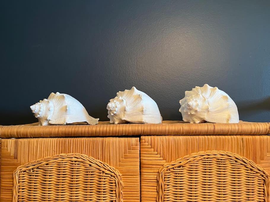 un grupo de conchas marinas sentadas sobre una mesa en Modern Cottage The Whitney by The Bay, en Villas