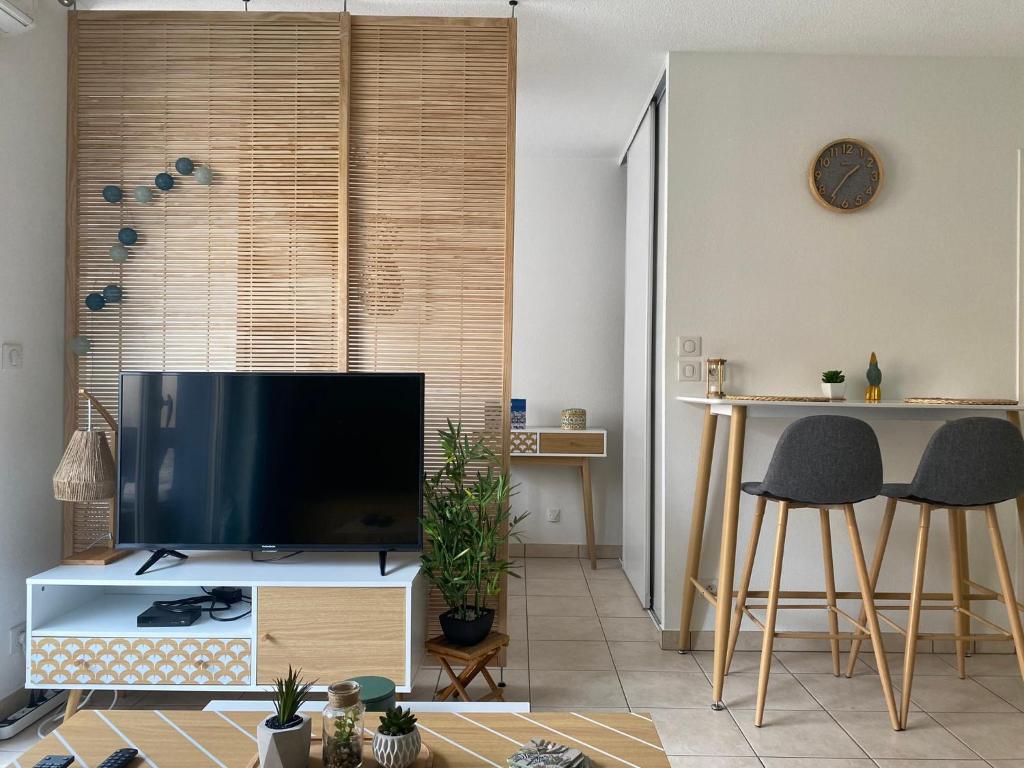 un salon avec une grande télévision à écran plat dans l'établissement Studio cosy tout équipé 30m2, à Nice