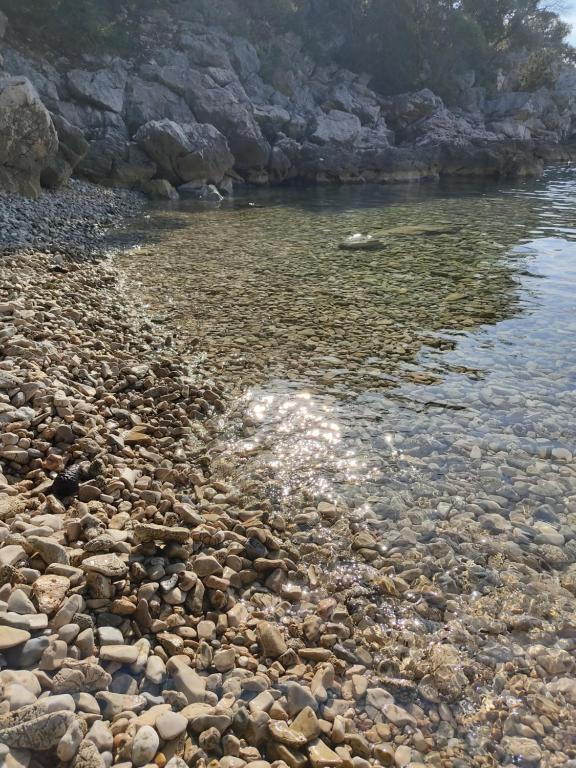 Příroda nedaleko apartmánu