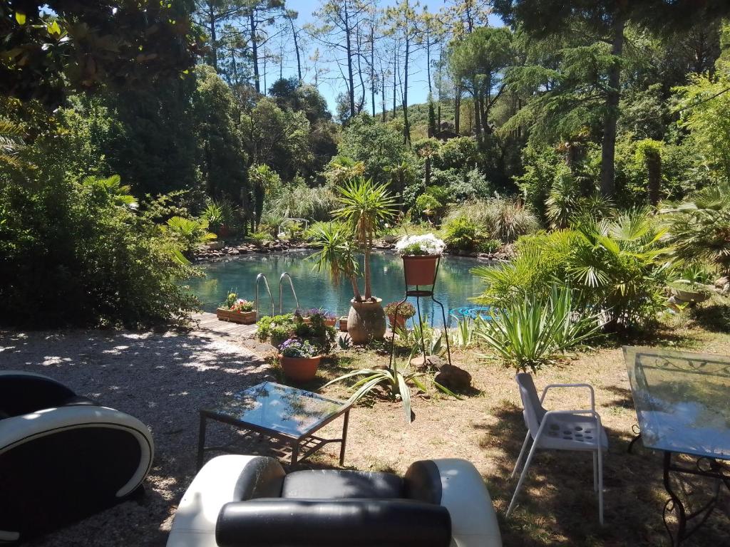 a backyard with a pool of water with chairs and trees at Chambre studio Verparadis in Mourèze