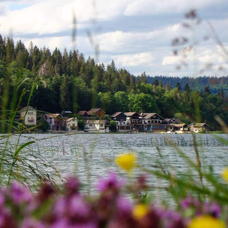Príroda v okolí apartmánu