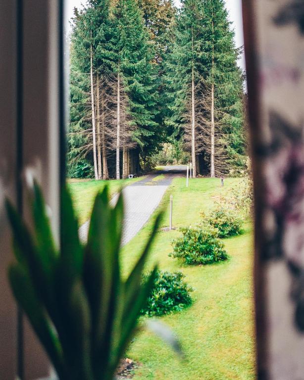 Zahrada ubytování Lipolas-slowlife&guesthouse