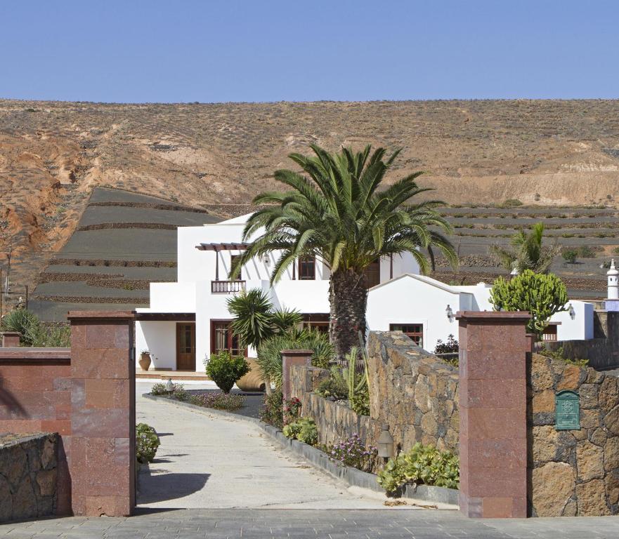 a palm tree in front of a white house at Villa Remedios in Teguise