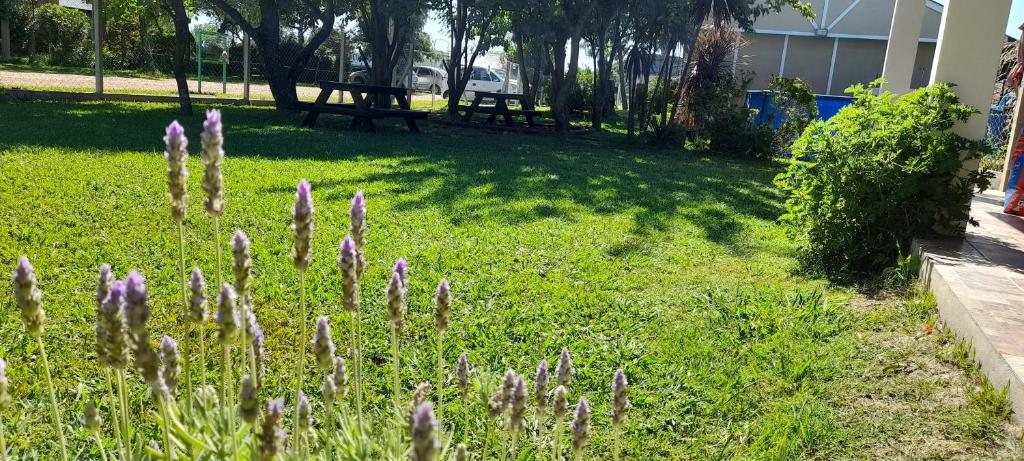 a garden with purple flowers in the grass at RULITOS DE SOL in Gualeguaychú