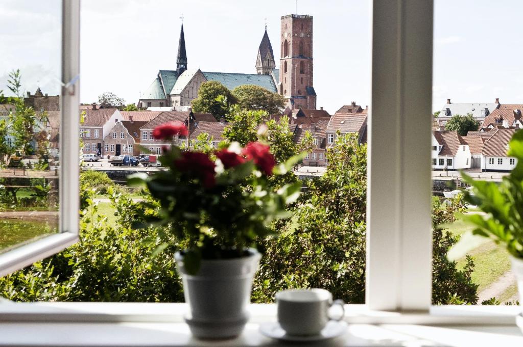 Aed väljaspool majutusasutust Danhostel Ribe