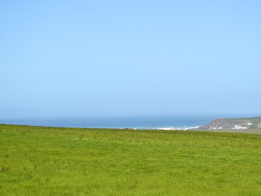 a field of green grass with the ocean in the background at Goose Cottage - Ukc2676 in Poundstock