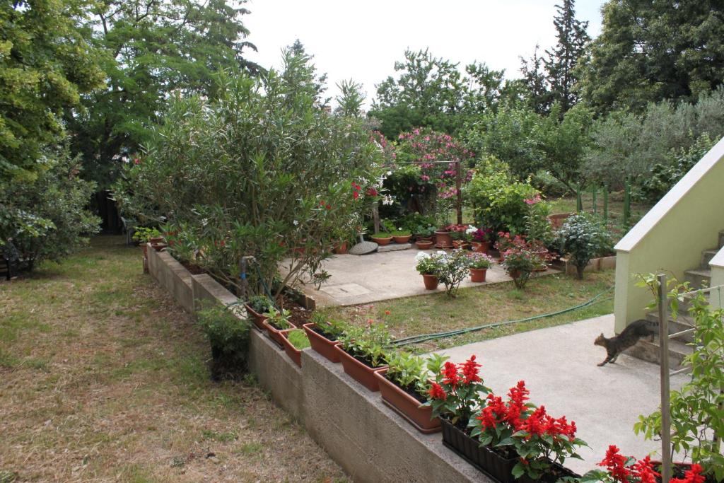 Vonkajšia záhrada v ubytovaní Apartments with a parking space Nerezine, Losinj - 7961