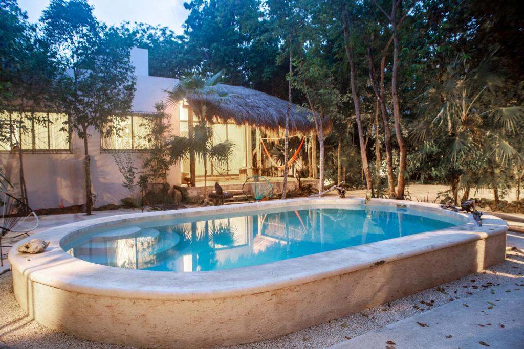 a swimming pool in the middle of a yard at Buena onda residence in Tulum