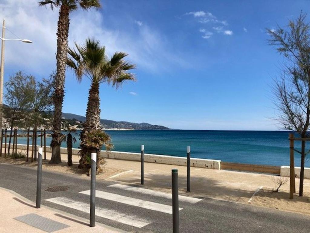 une plage avec des palmiers et l'océan dans l'établissement Appartement avec Vue Mer, Climatisation et Cuisine Équipée - Le Lavandou - FR-1-308-158, au Lavandou
