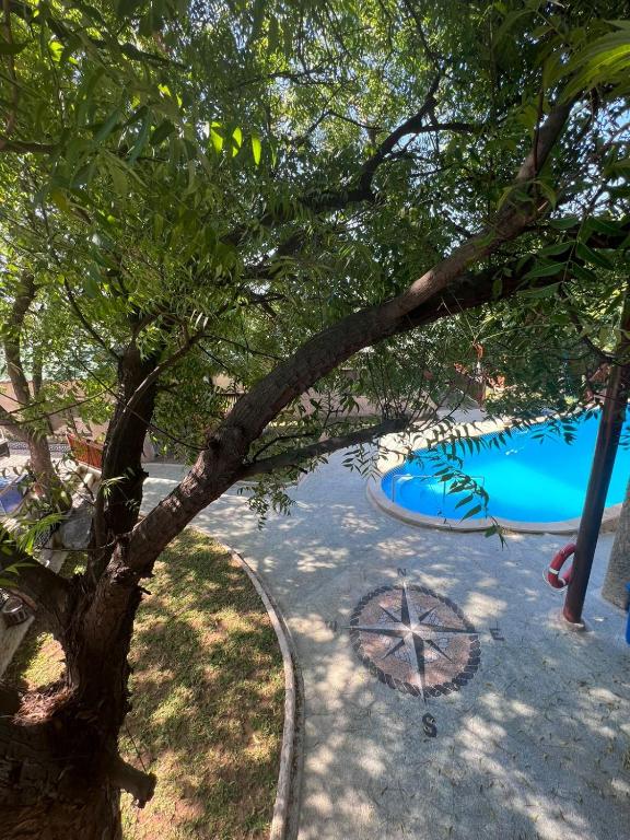 Bazén v ubytování Lunar Dive Resort: Bamboo Villas nebo v jeho okolí