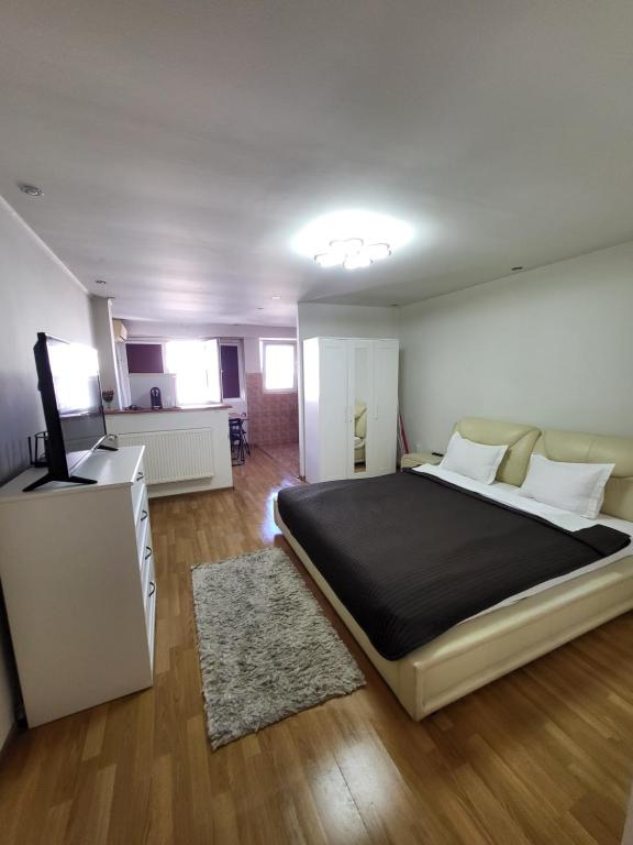 1 dormitorio con 1 cama grande y TV en Avrig-Ferdinand Studio, en Bucarest