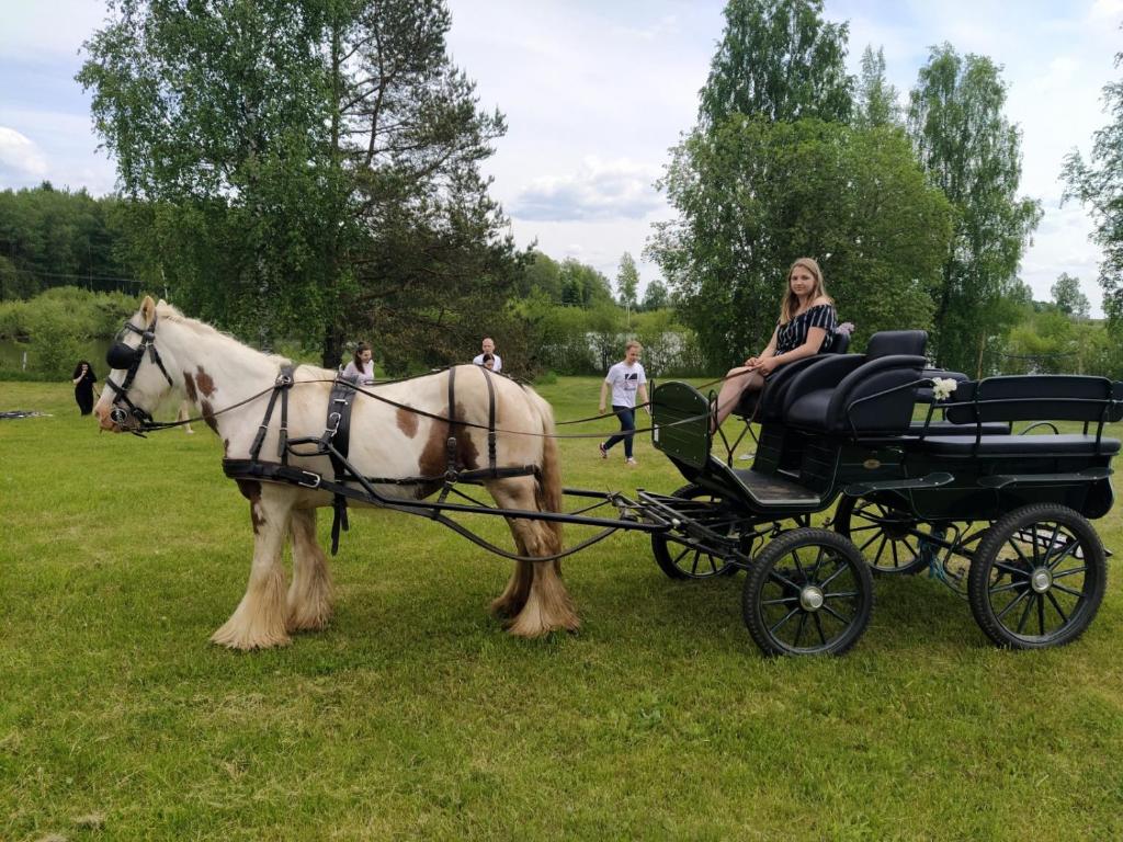 Hosté ubytování Hotel Laagna