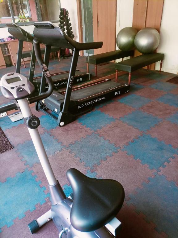 Fitness centrum a/nebo fitness zařízení v ubytování Abhyagama Hotel