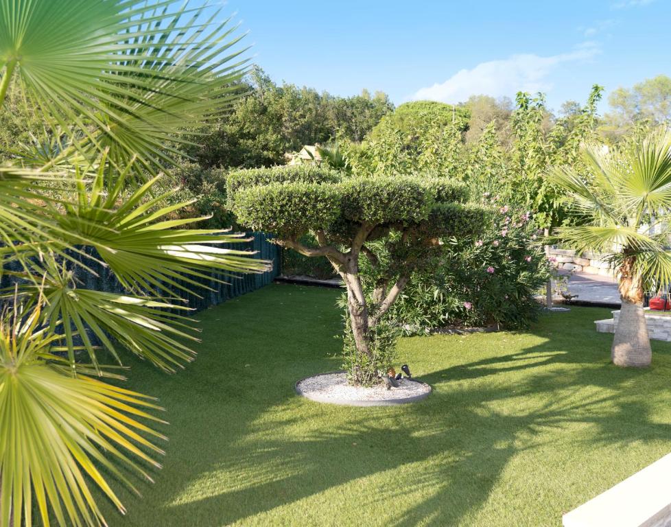 a tree in the middle of a lawn with palm trees at Appartement Villa Quietude in Bagnols-en-Forêt