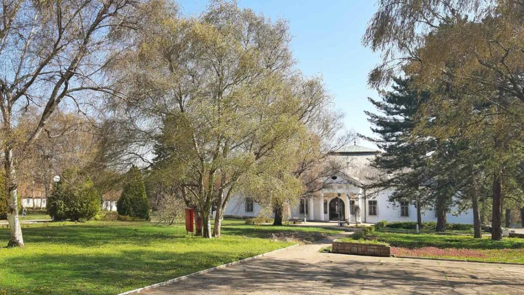 Zahrada ubytování Hotel Biser Panonija