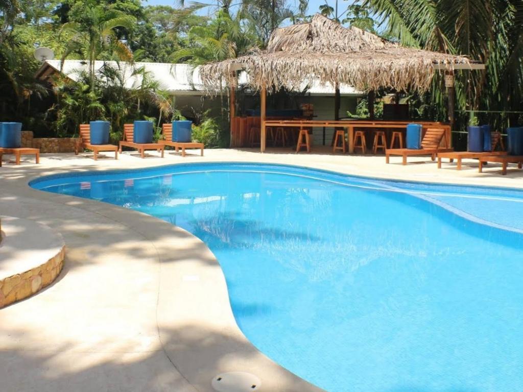 聖特雷莎海灘的住宿－Esencia Hotel and Villas，一个带椅子和桌子的大型游泳池