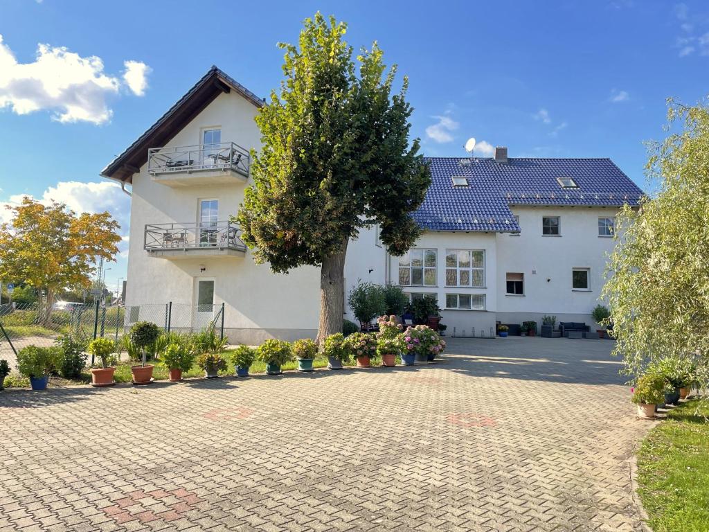 a large white building with a tree in front of it at Ferienwohnung Lilie in Lübbenau