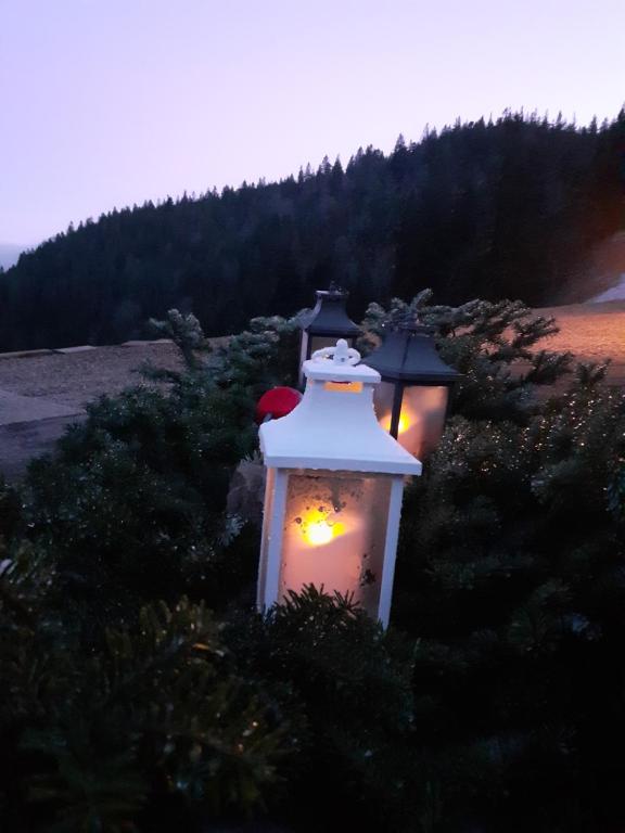MUNSTER camping de la FECHT – photo 40