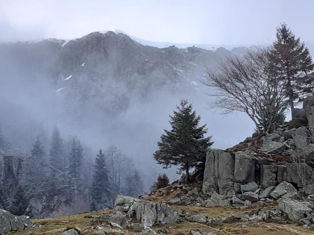 MUNSTER camping de la FECHT – photo 39