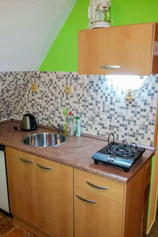 kuchnia ze zlewem i blatem w obiekcie Studio Rieger 4 by Interhome w mieście Harrachov