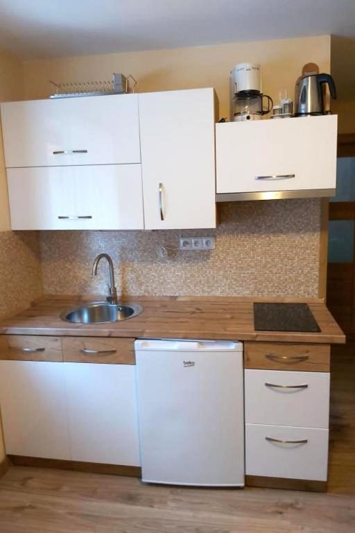Kuchyň nebo kuchyňský kout v ubytování Apartment Rieger 1 by Interhome