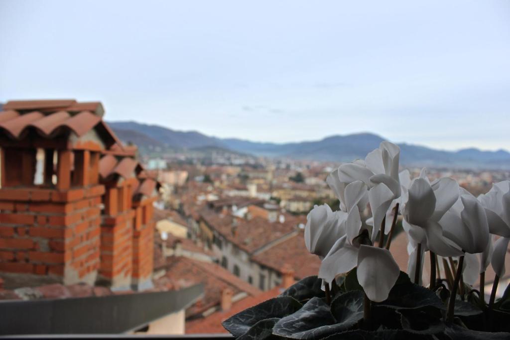 Casa Vacanza Fontana Del Delfino - 15