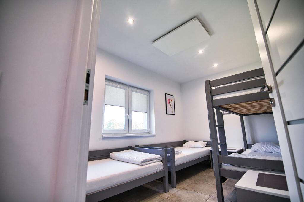 Apartamenty i Domki u Basi - 8