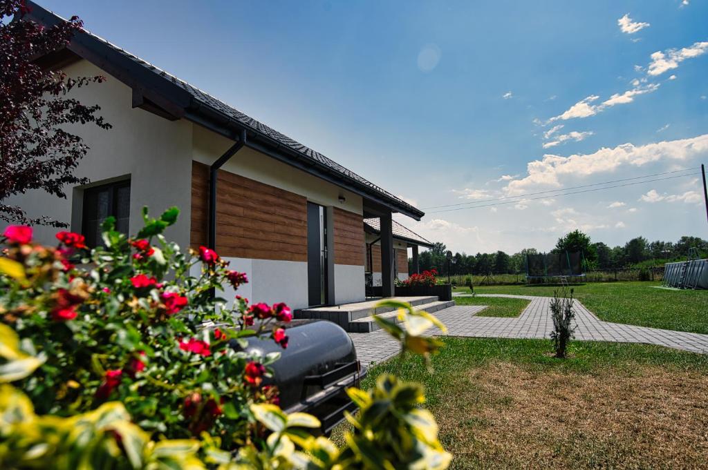 Apartamenty i Domki u Basi - 1