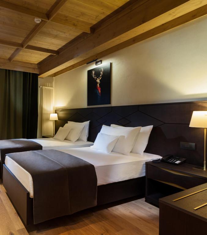 Ana Hotels Bradul Poiana Brasov - Resim 28