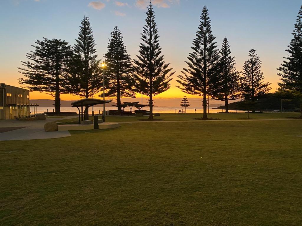 um grupo de árvores com o pôr-do-sol ao fundo em Retreat em Albany