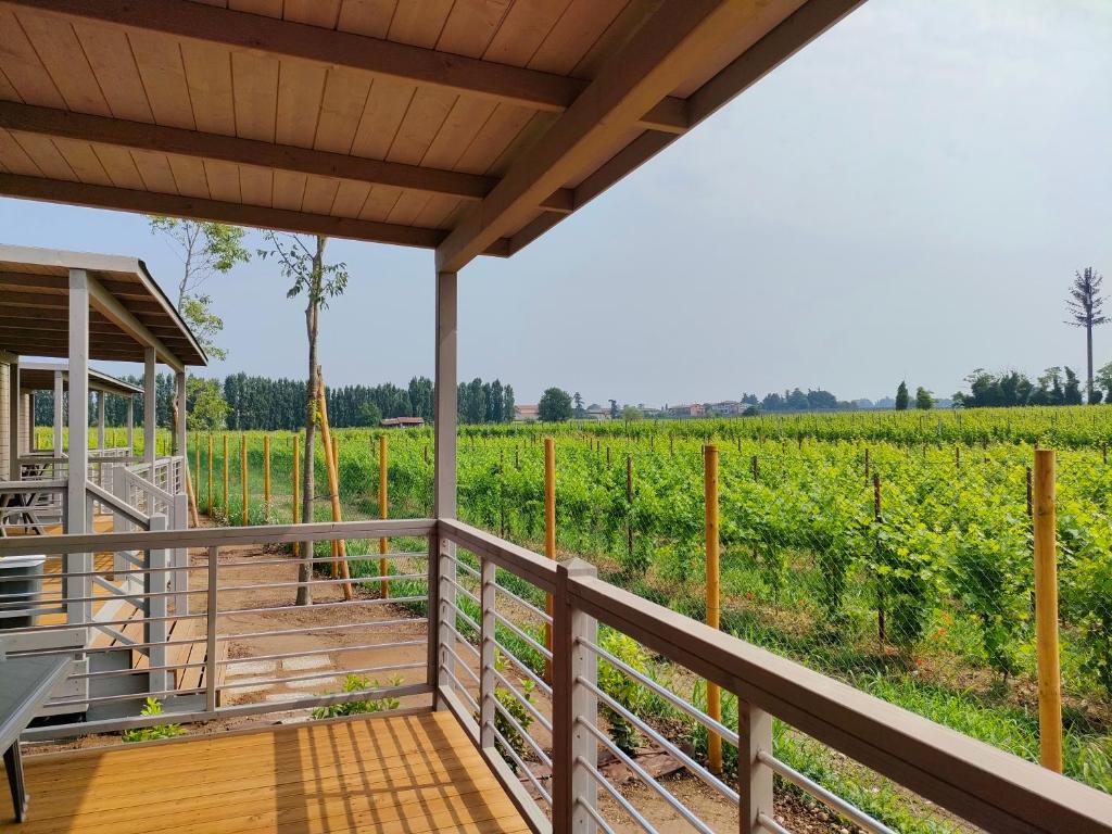 Balkón nebo terasa v ubytování Garda Di Vino Agricamping & Wine Shop Lazise