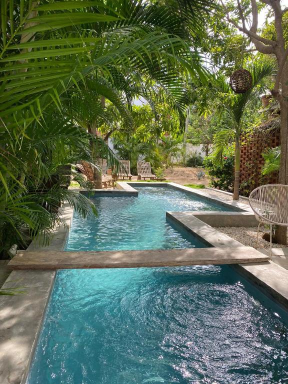 a swimming pool in a yard with chairs and trees at Soiree in Zipolite