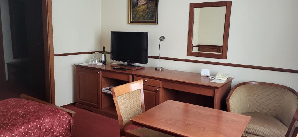 TV a/nebo společenská místnost v ubytování Hotel Matyšák