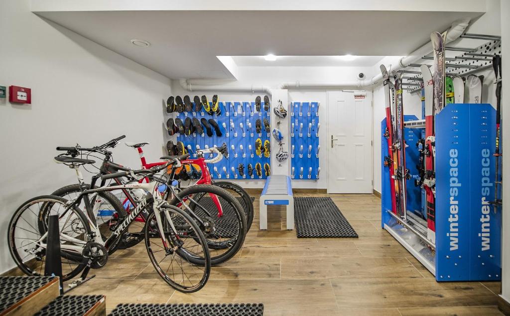 Fitness centrum a/nebo fitness zařízení v ubytování Vila Lavina