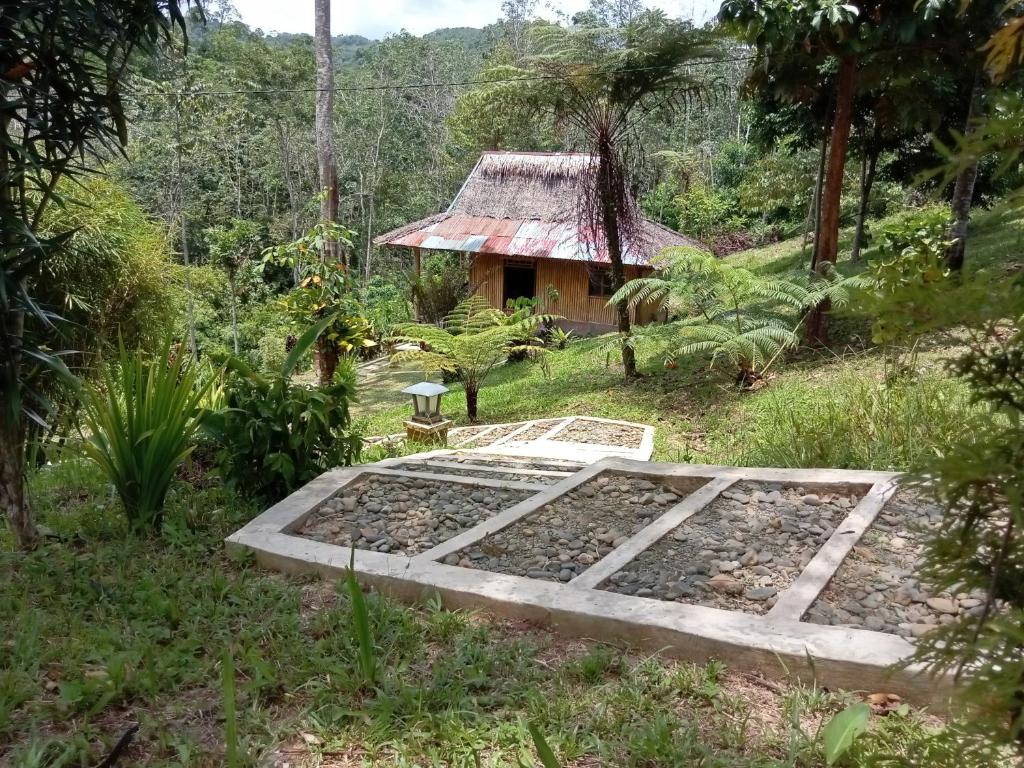 Orangutan Bungalow - Deluxe Bungalow With Garden View