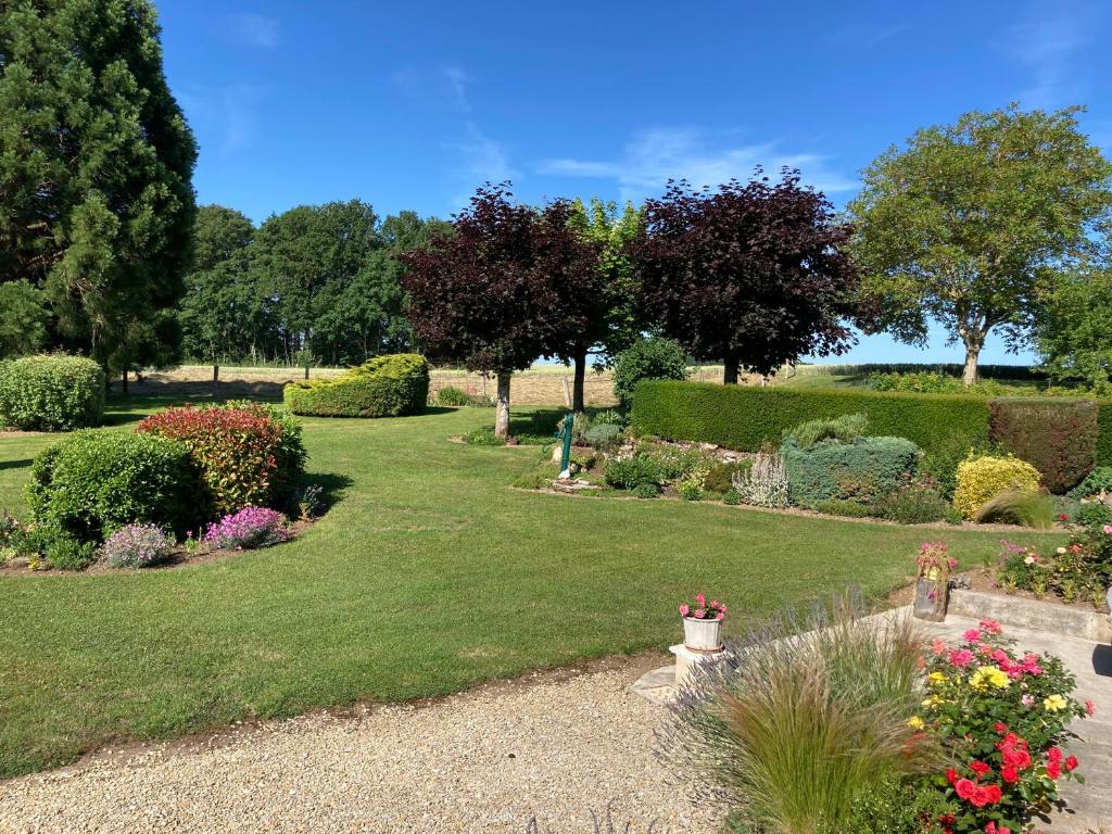 einen Garten mit Blumen und Büschen an einem sonnigen Tag in der Unterkunft la Louvière 