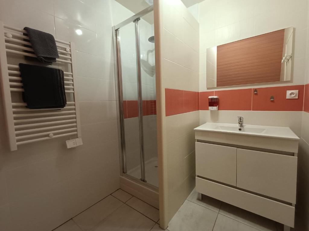 ein Bad mit einem Waschbecken und einer Dusche in der Unterkunft studio 2 personnes entre campagne et plages in Questembert