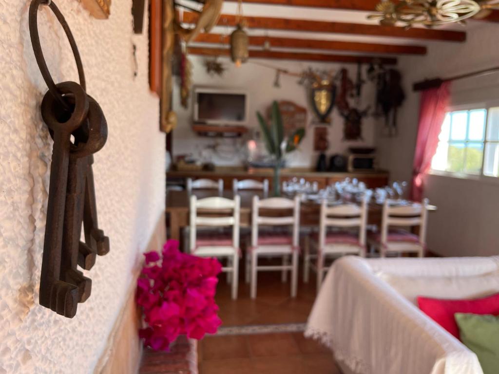 Restaurace v ubytování Villa Marver