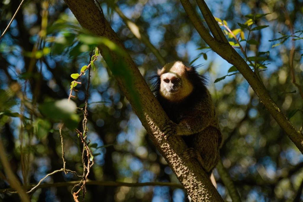 Pousada Dunasol Floripa