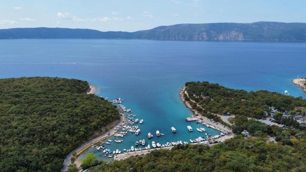 Príroda v okolí apartmánu