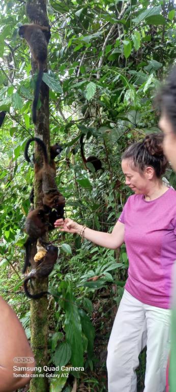 Tetamu yang menginap di Centro EtnoArtístico Achalay