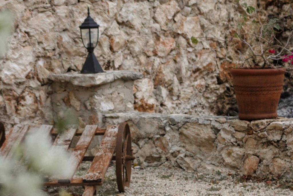 Zahrada ubytování Casa Vicenta Izamal